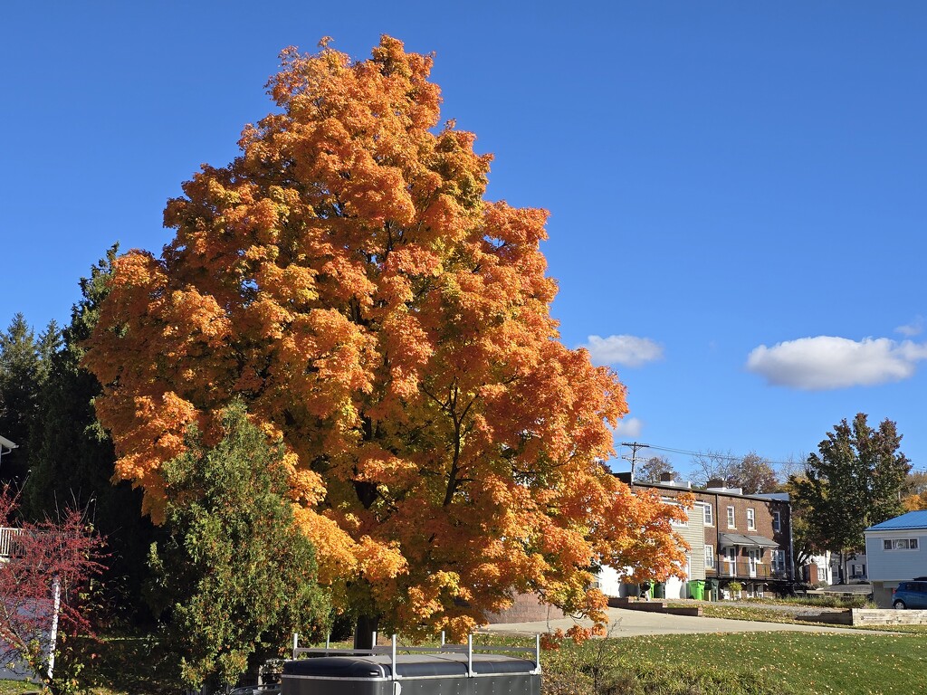 1000008001 Chagrin Falls by jazzygee