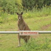 Parking security by gilbertwood