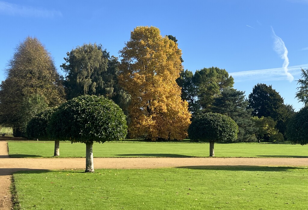 Wrest Park  by elainepenney