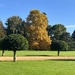 Wrest Park  by elainepenney