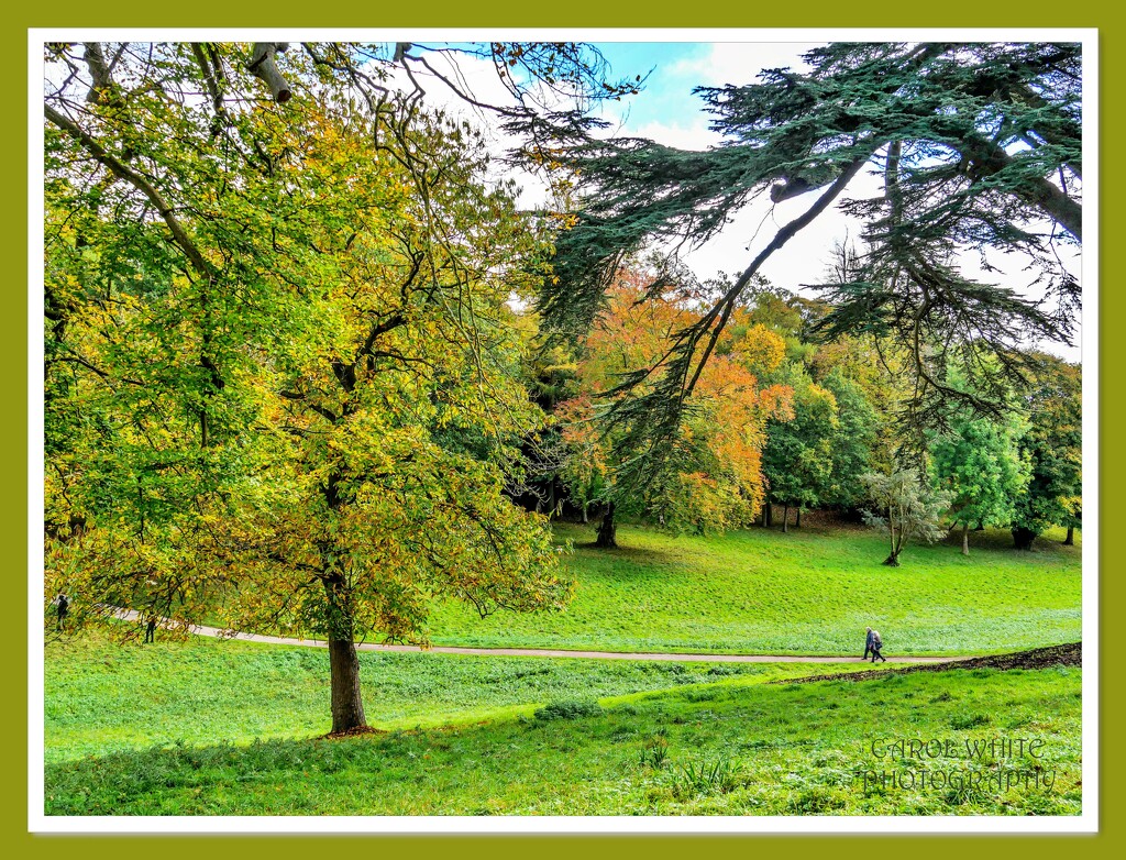 Walking In Stowe Gardens by carolmw