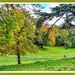 Walking In Stowe Gardens