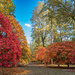 Westonbirt Arboretum