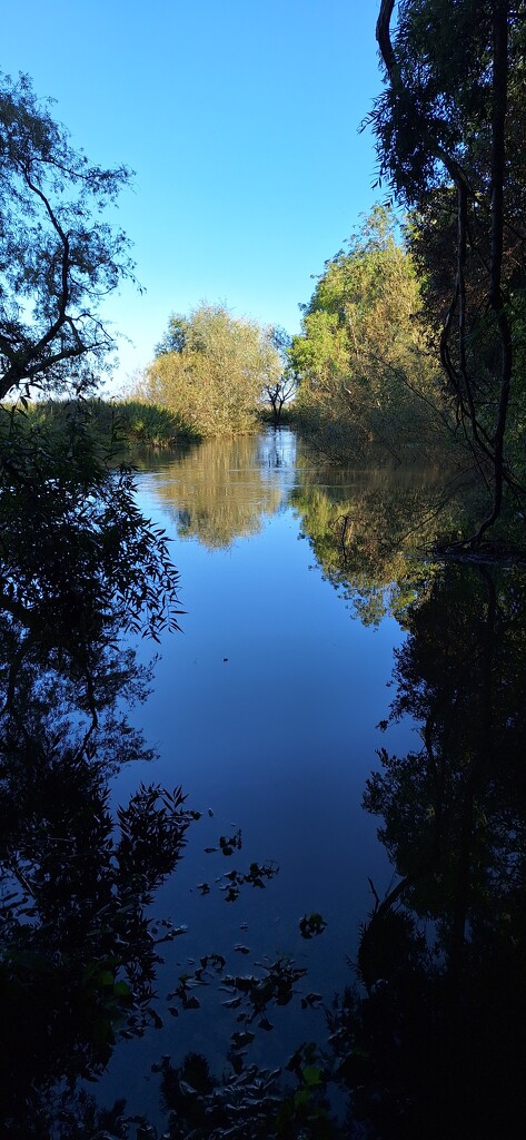 Still waters by tedswift