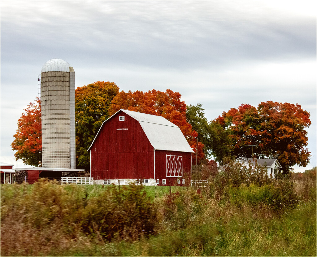 In the fall by 365projectorgchristine