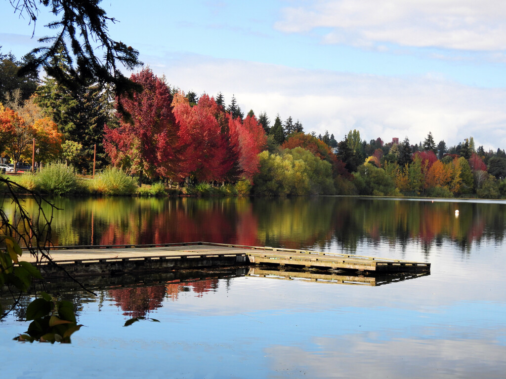 Fall's Color Progression... by seattlite