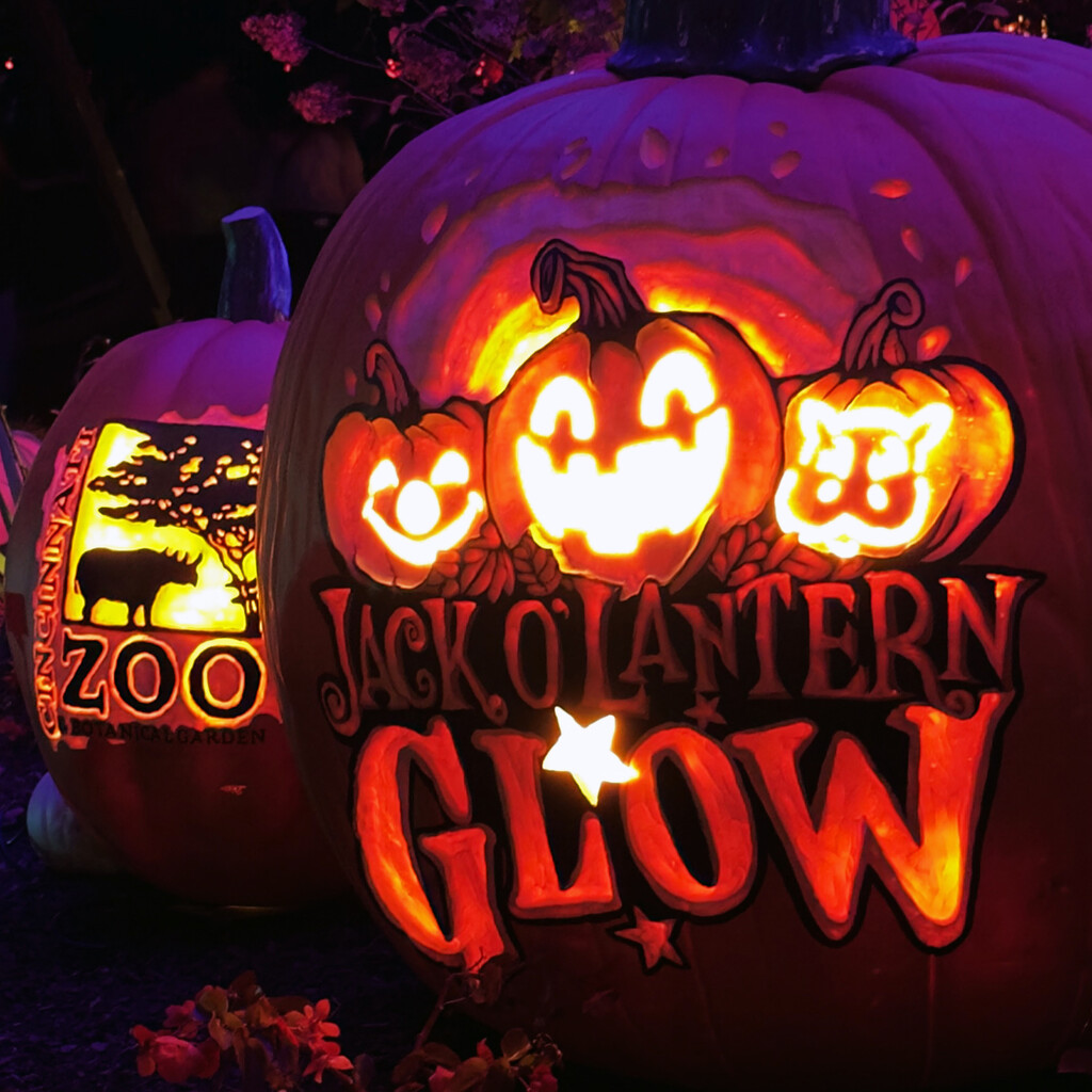 Jack O'Lantern Glow At The Zoo by yogiw