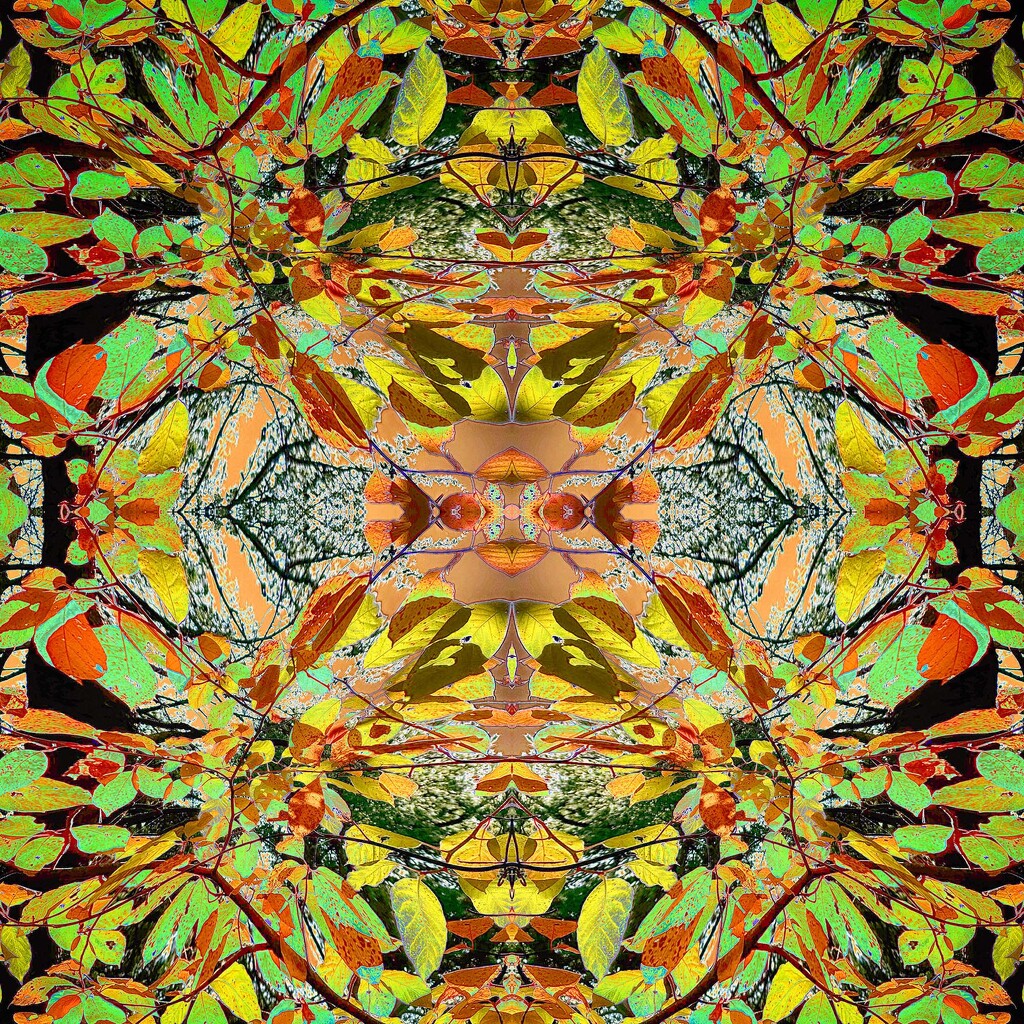 Fall Leaves Kaleidoscope v2 by k9photo