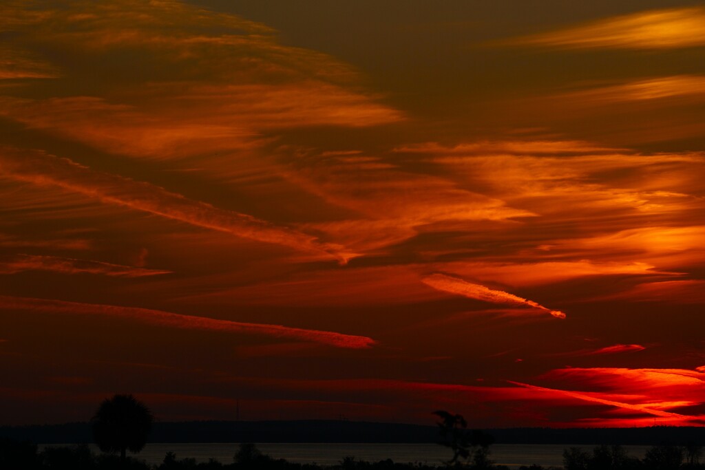 Reds by photohoot