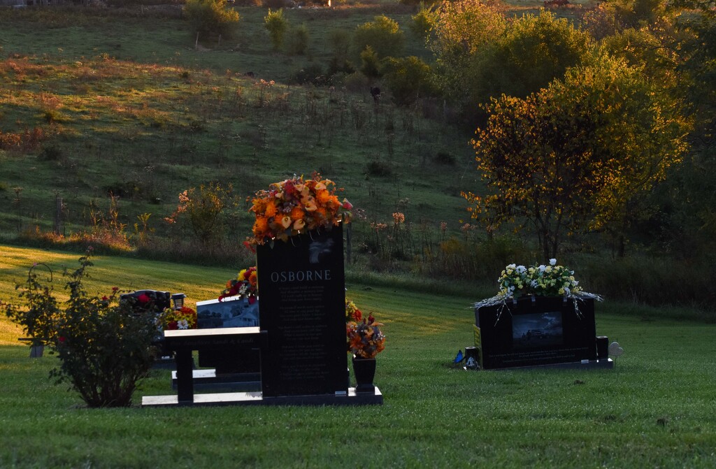 Golden Hour In Kentucky by bjywamer