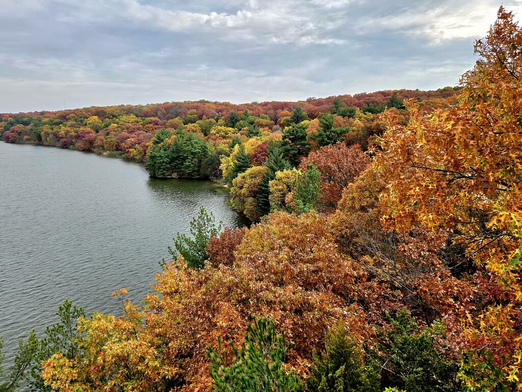 Fall Colors At Starved Rock by randy23