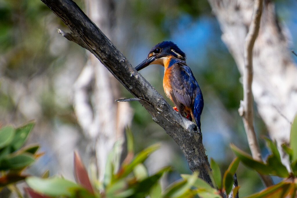 Fishing by spanner