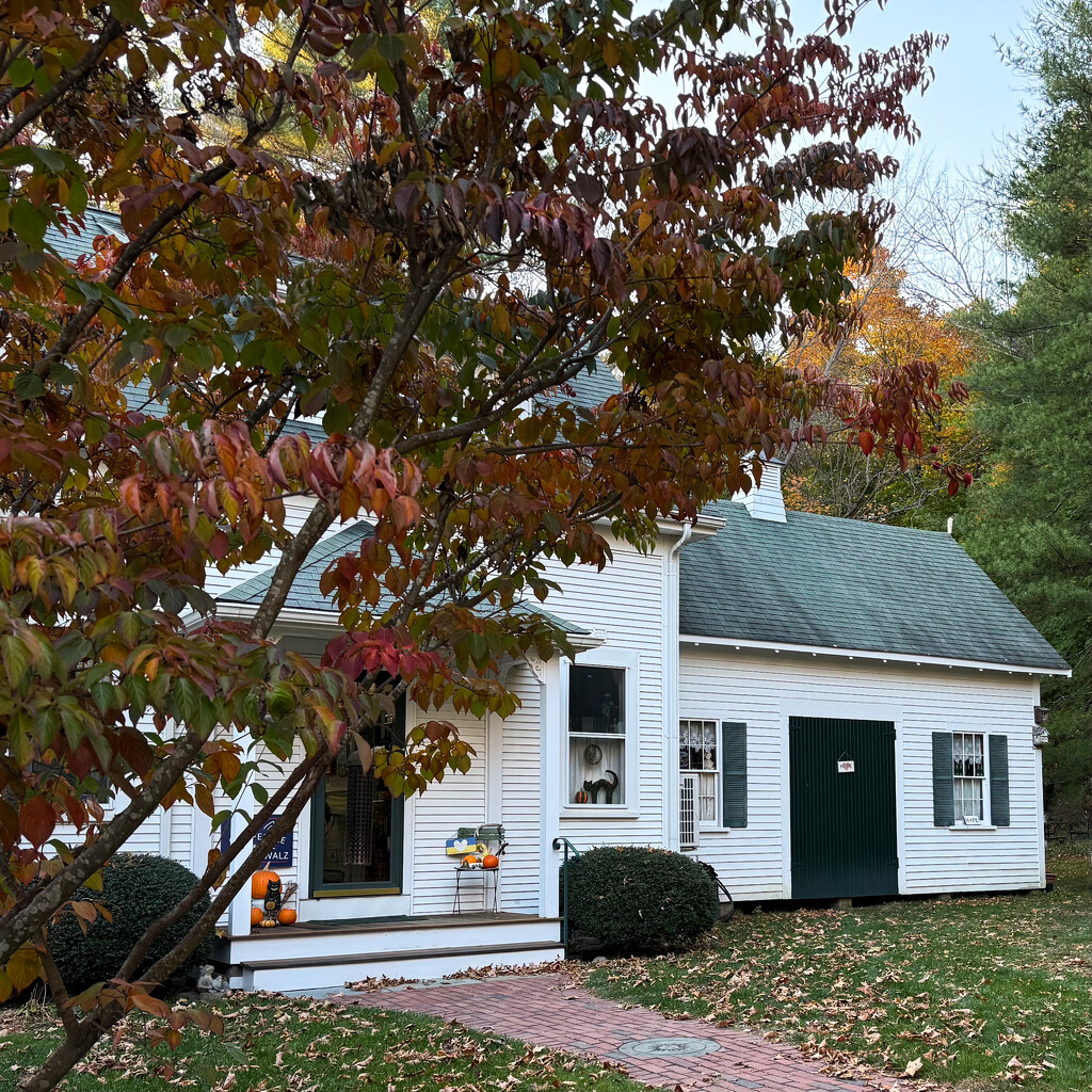 The Little Barn at Dogcorner Cottage by berelaxed