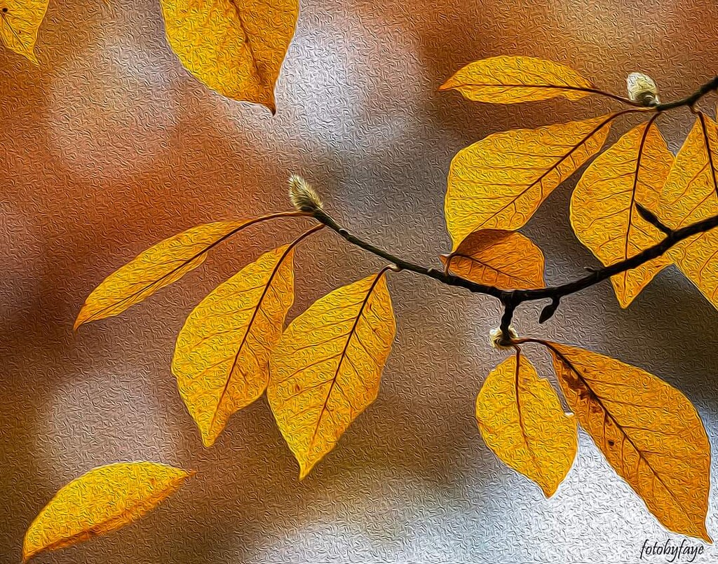 Fall leaves oil paint effect by fayefaye