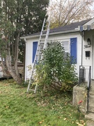 28th Oct 2024 - The Roofers Are Here