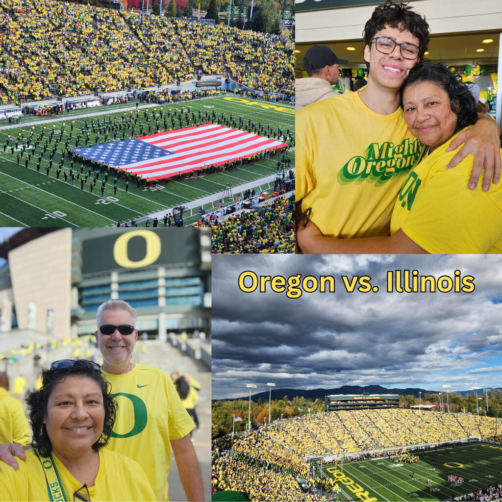 Oregon vs. Illinois by mariaostrowski