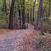 Autumn stroll by monikozi