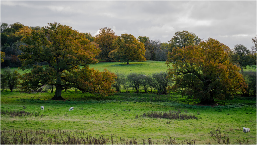 The Old Hills by clifford