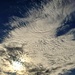 302/366 - Morning clouds 