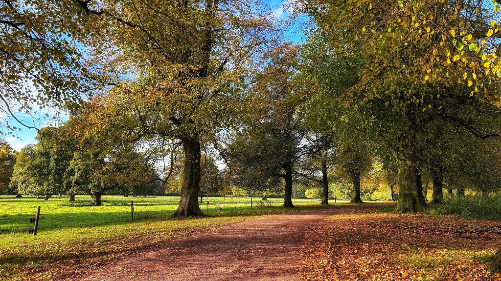 Gunby Driveway by carole_sandford