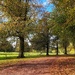 Gunby Driveway by carole_sandford