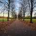 303/366 - Hillsborough Park 