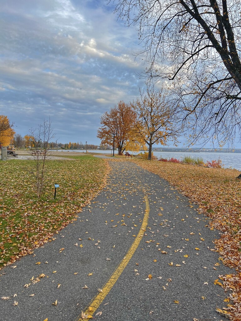 Our Bike trail  by radiogirl