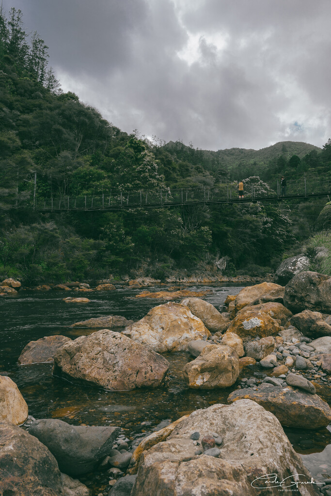 Ohinemuri River by yorkshirekiwi