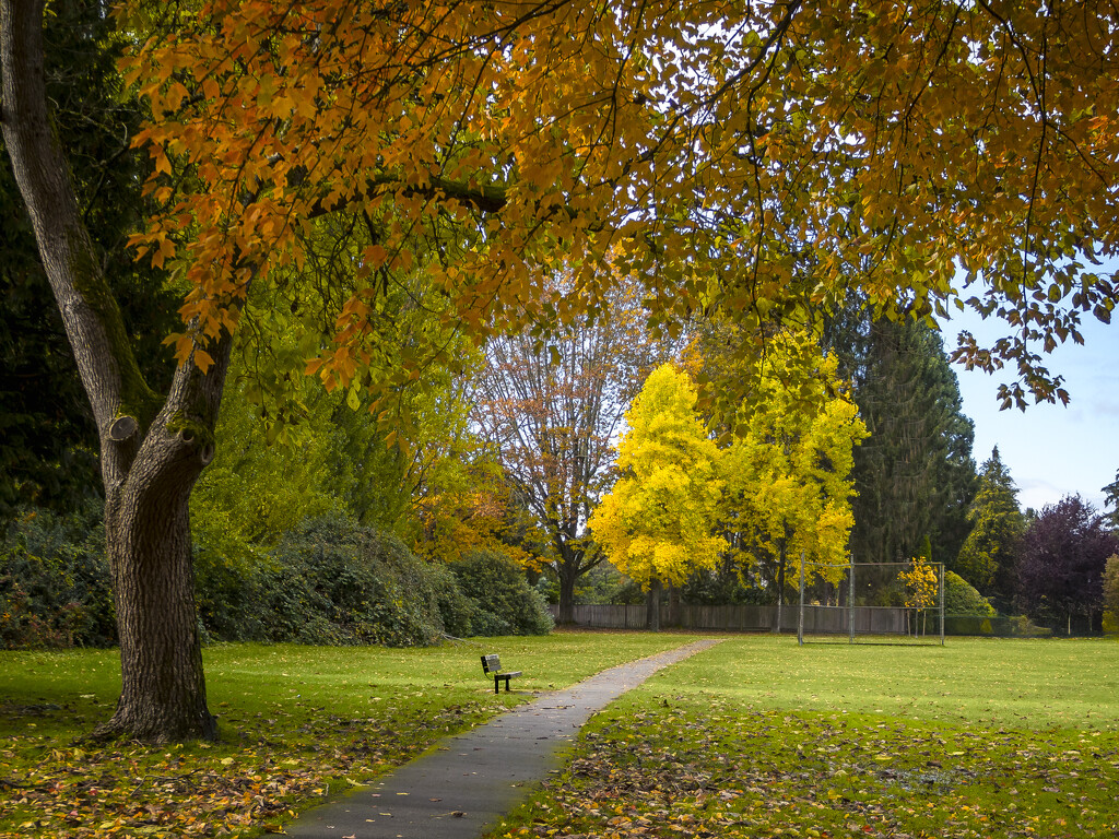 Park Bench by cdcook48