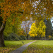 Park Bench