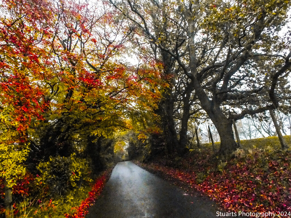 Autumn down the lane by stuart46