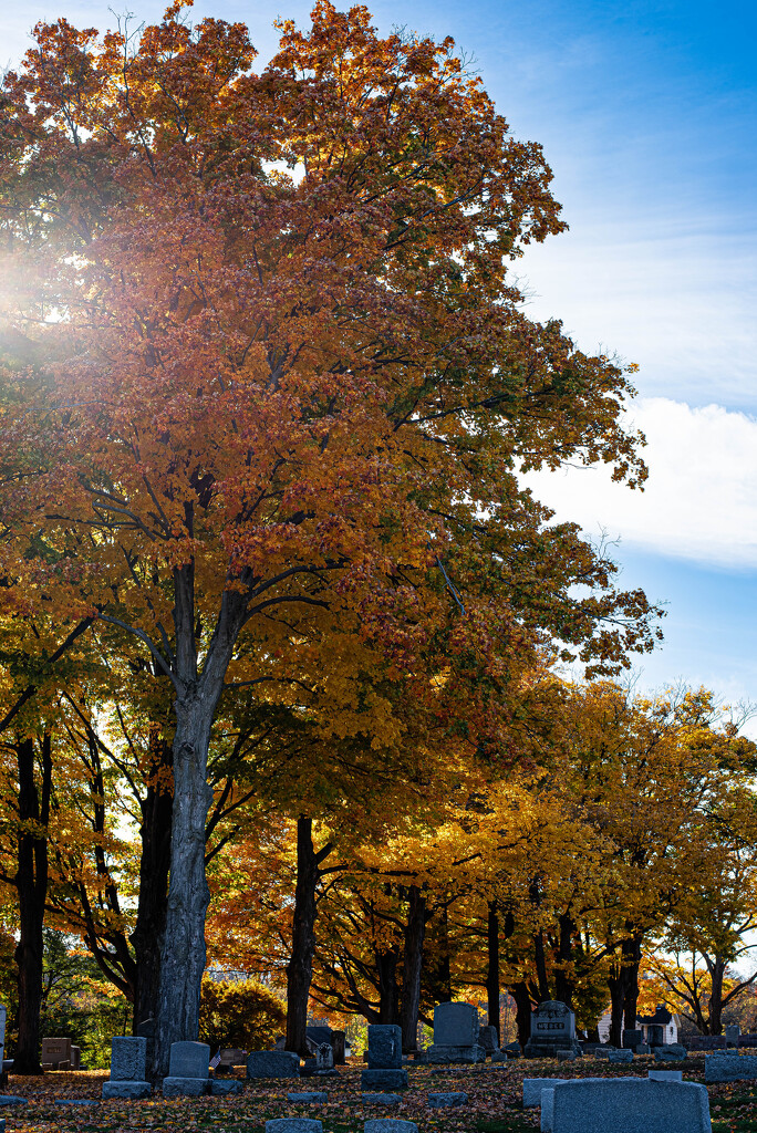 Autumn in the Cemetery by darchibald