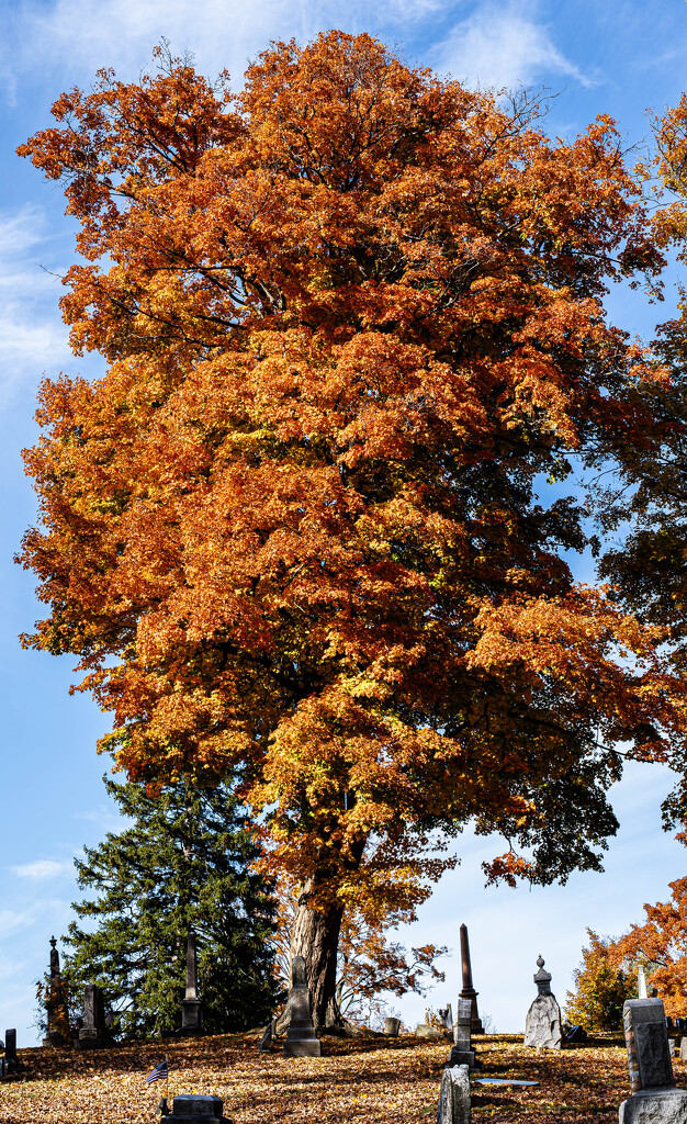 Autumnin the Cemetery_ by darchibald