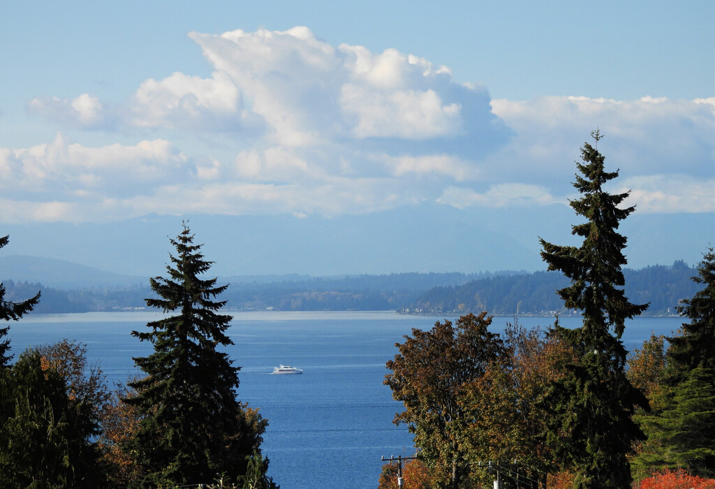 Puget Sound by seattlite