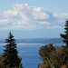 Puget Sound