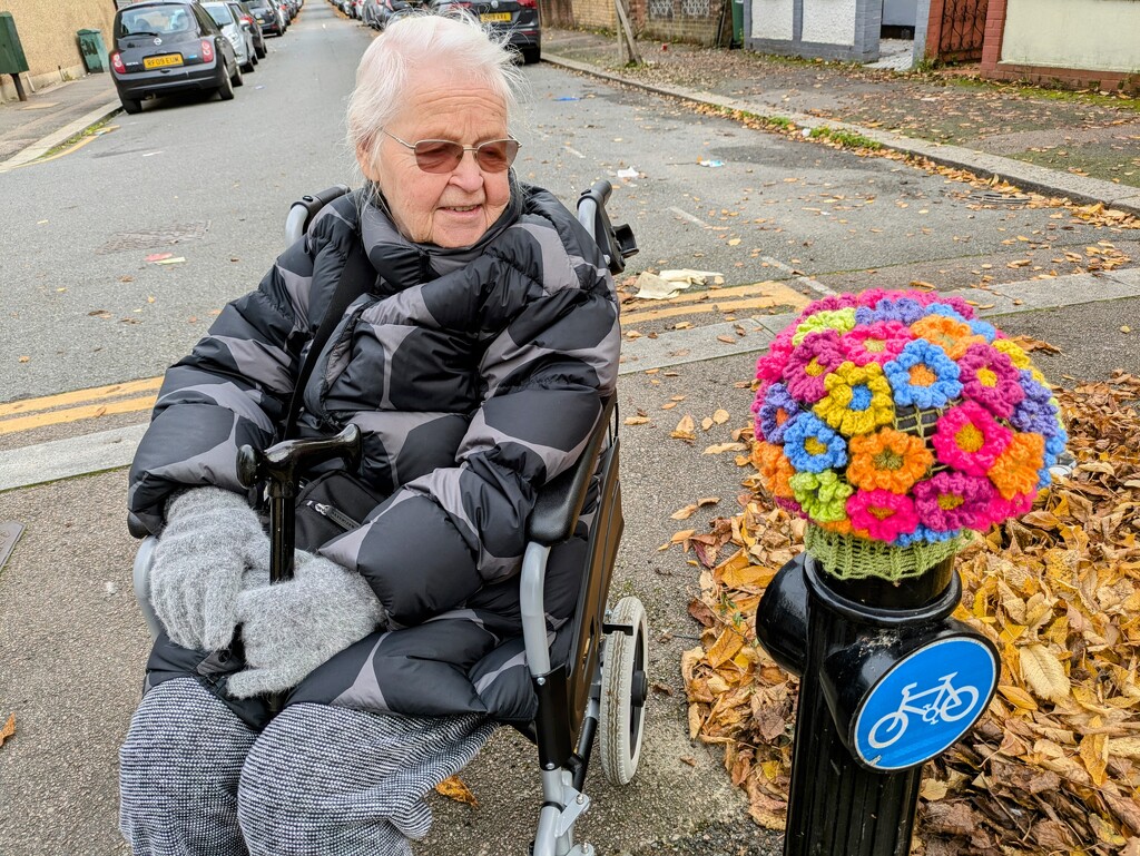 Bollard flowers by boxplayer