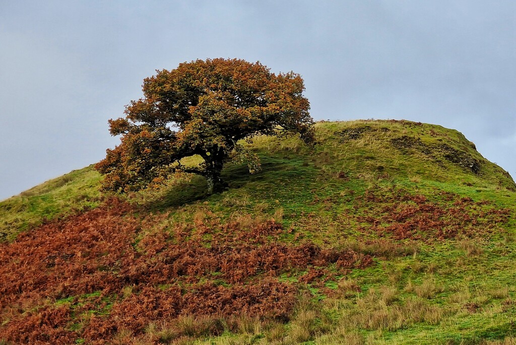 autumn colour by christophercox