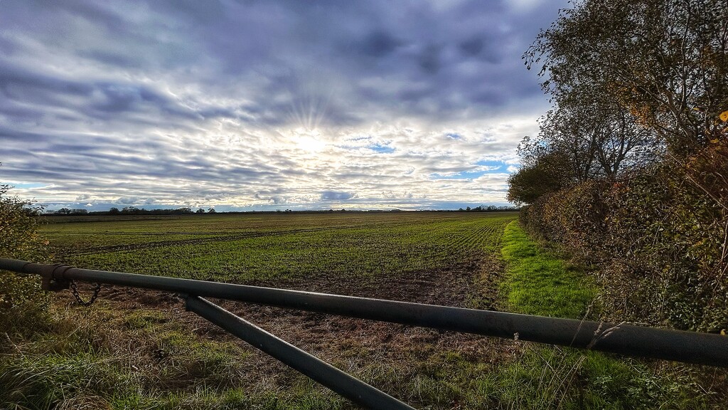 Cloudy Skies by carole_sandford