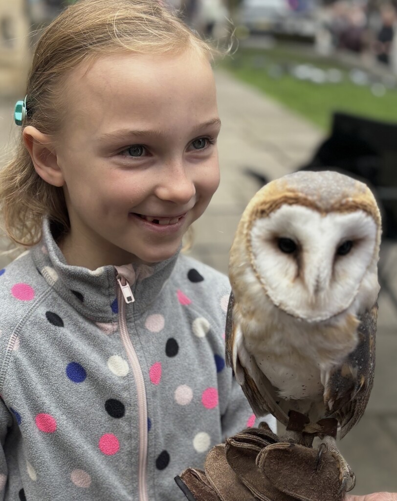 My friend the barn owl by lizgooster