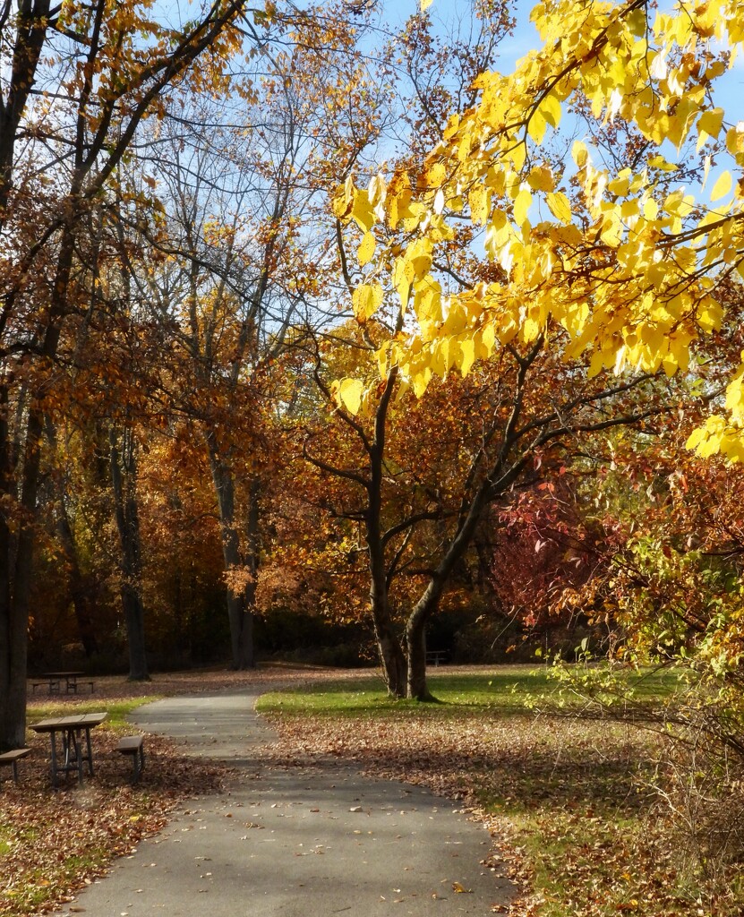 walk in the park by amyk