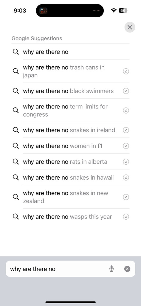 Why are there no … ? by eviehill