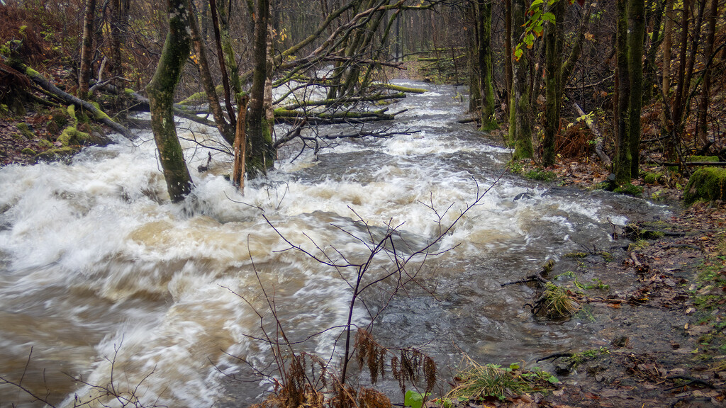 Flooded by helstor365