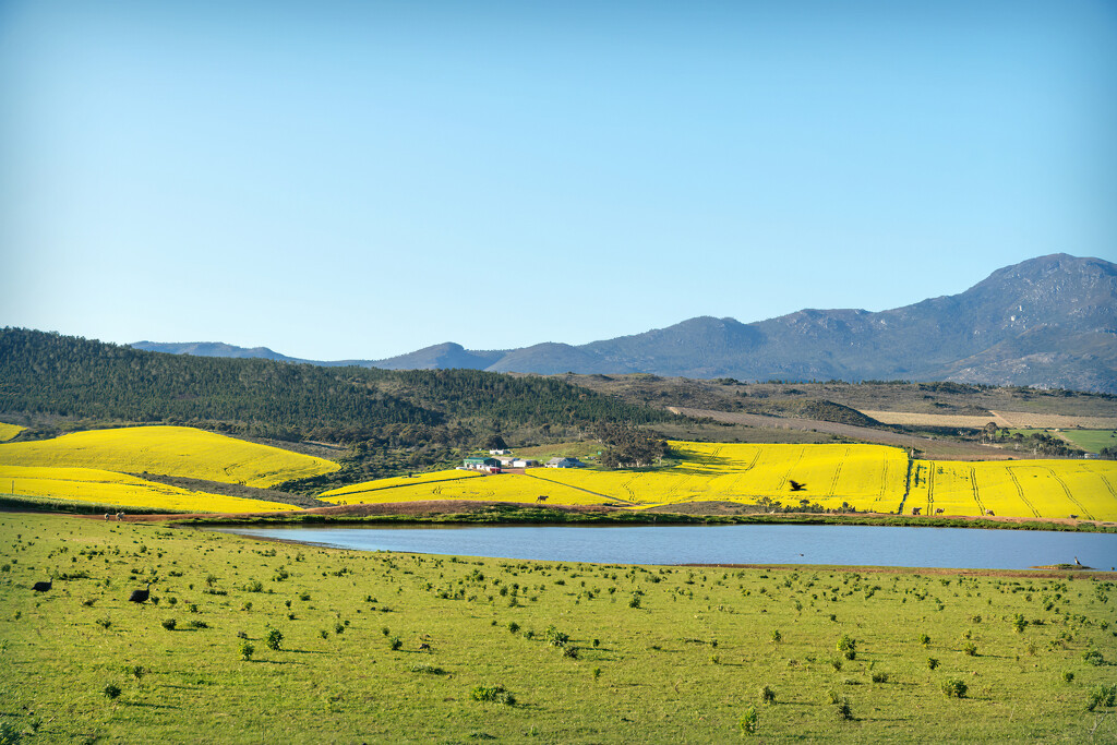 Overberg pano by ludwigsdiana