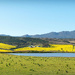 Overberg pano