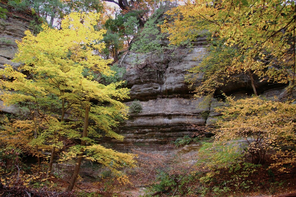 On The Trail With Fall Colors by randy23