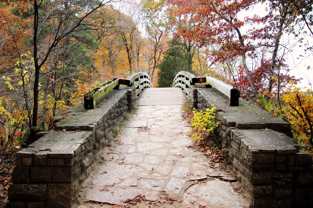 Bridge To Fall Colors by randy23