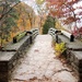 Bridge To Fall Colors