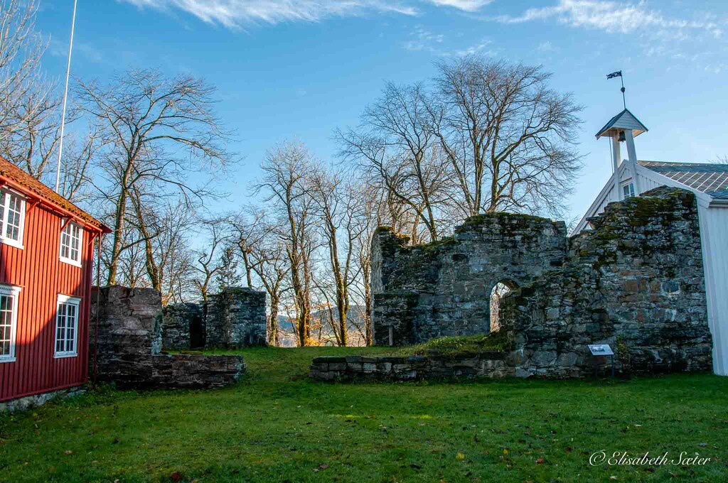 More ruins of Rein Abbey by elisasaeter