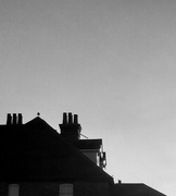 31st Oct 2024 - Rooftop Roost