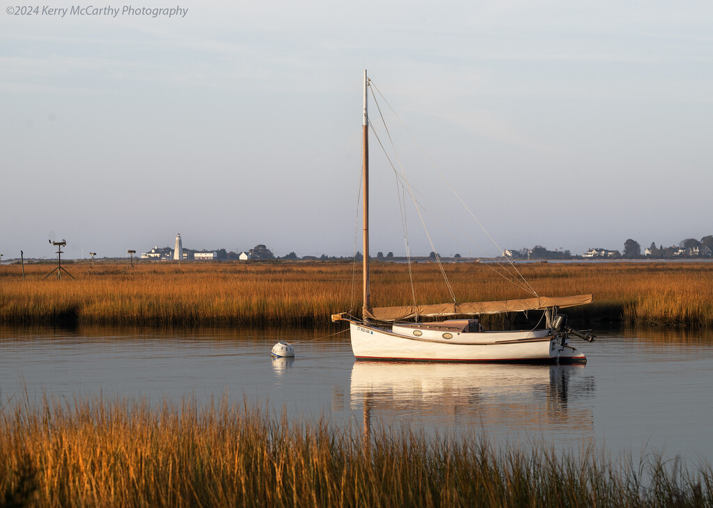 Morning light by mccarth1